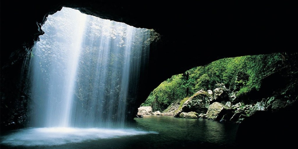 Thumbnail for Fill your tank for the best day trips around Southeast Queensland