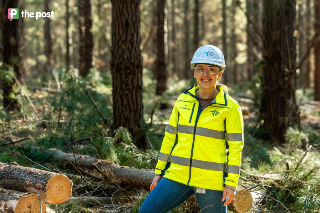 Thumbnail for Join the green revolution: Why careers in forestry are flourishing