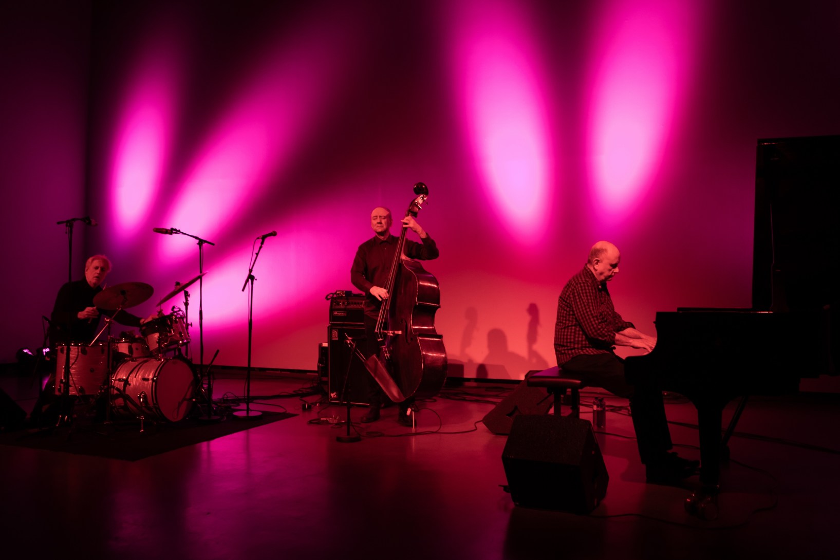 The Necks are unique  and mysterious and  touring again. Photo: Nabeeh Samaan