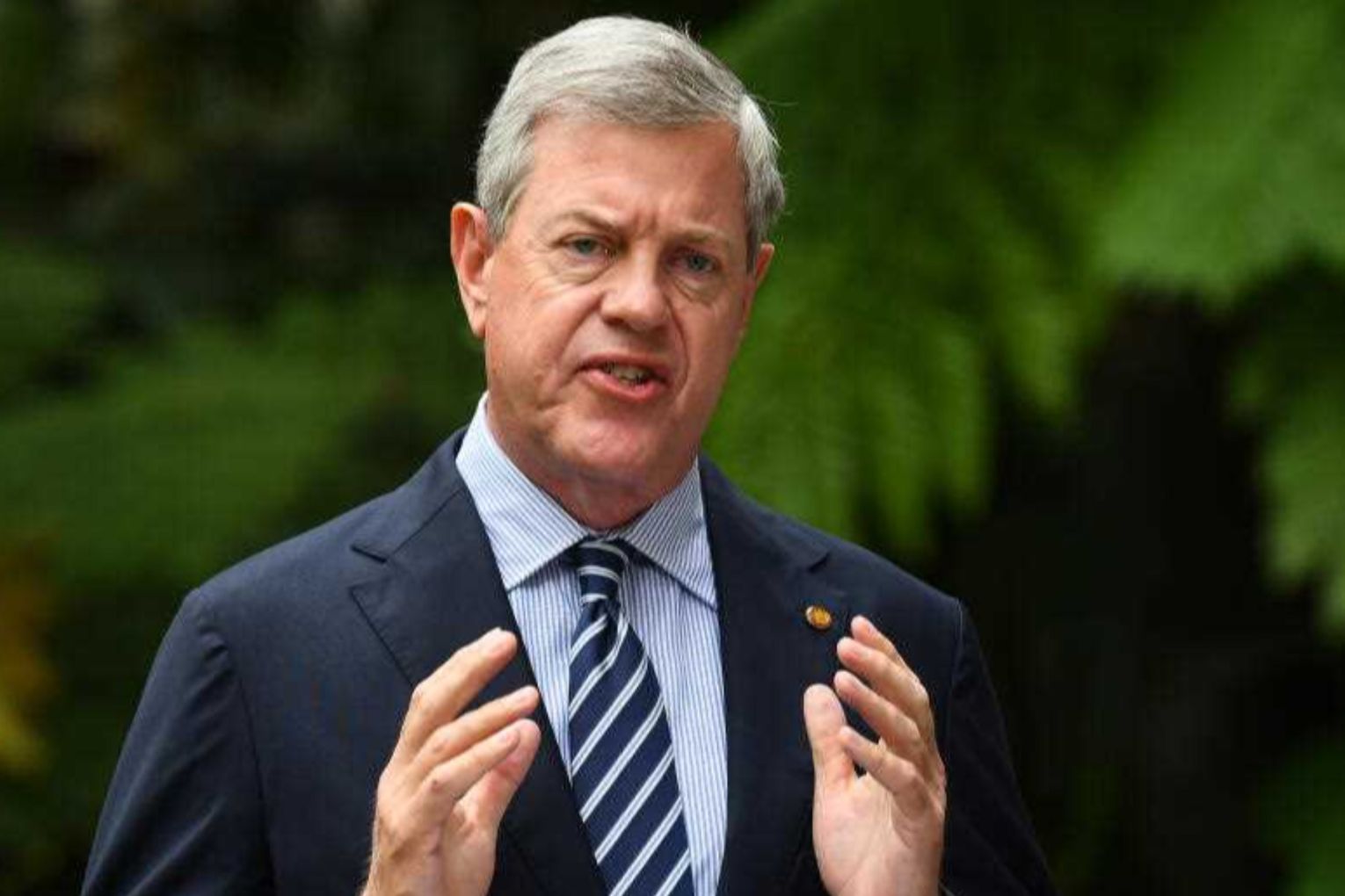 Health Minister Tim Nicholls says lost virus samples were moved without the appropriate paperwork. Photo: Jono Searle/AAP