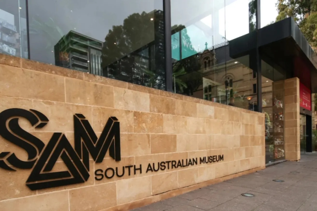 Thumbnail for SA Museum CEO steps down, new interim boss named