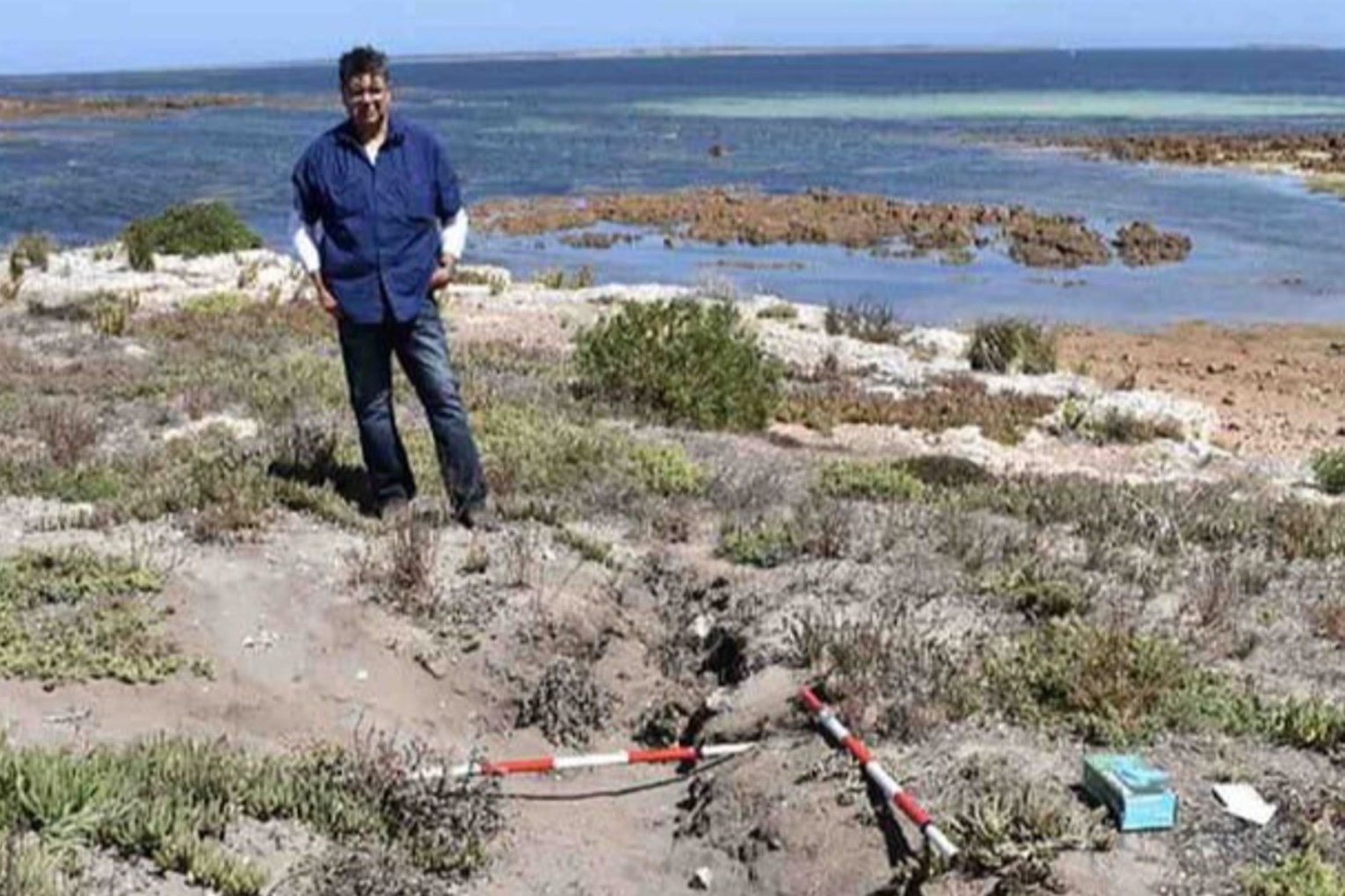 Lester-Irabinna Rigney at the site known as Burgiyana 7, a large earth oven/mound site comprising a thick layer of ashy sand/sediment covering an area 35 × 14 m. This site is located on Island Point adjacent to Dead Man’s Island/Mungari. Photo: Supplied