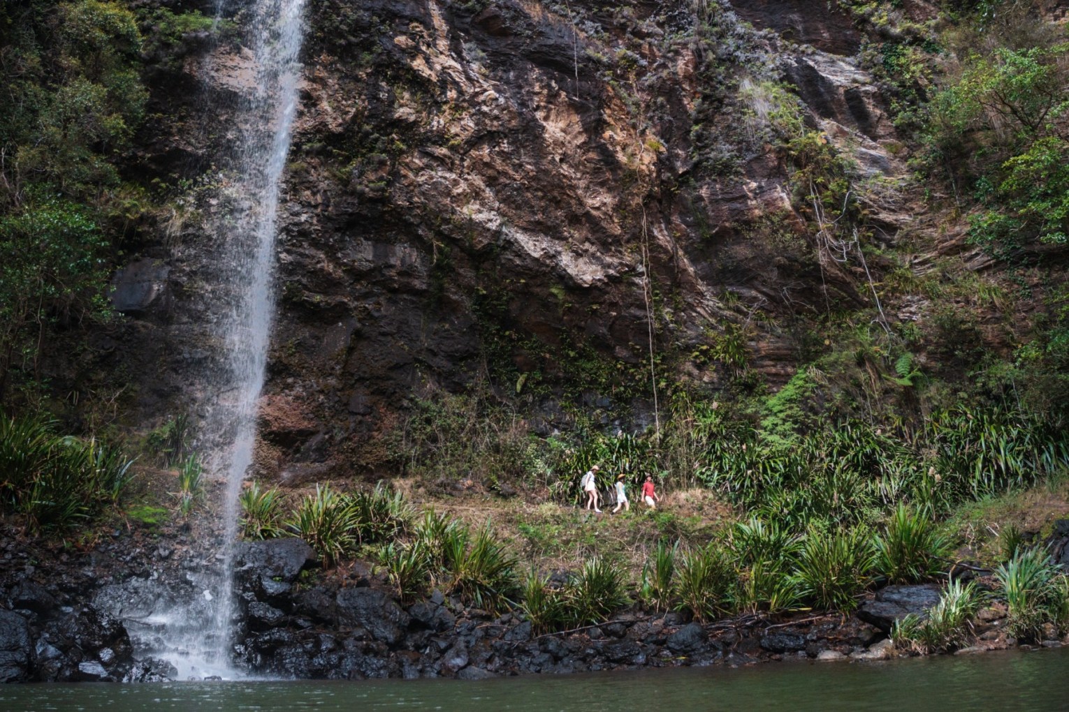 A bushwalker discovered a skull lying just off the track in a Gold Coast national park. Photo: Queensland.com