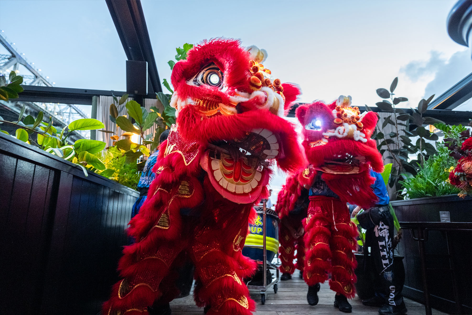 Thumbnail for Feasts, festivities and good fortune – where to celebrate Lunar New Year in Brisbane