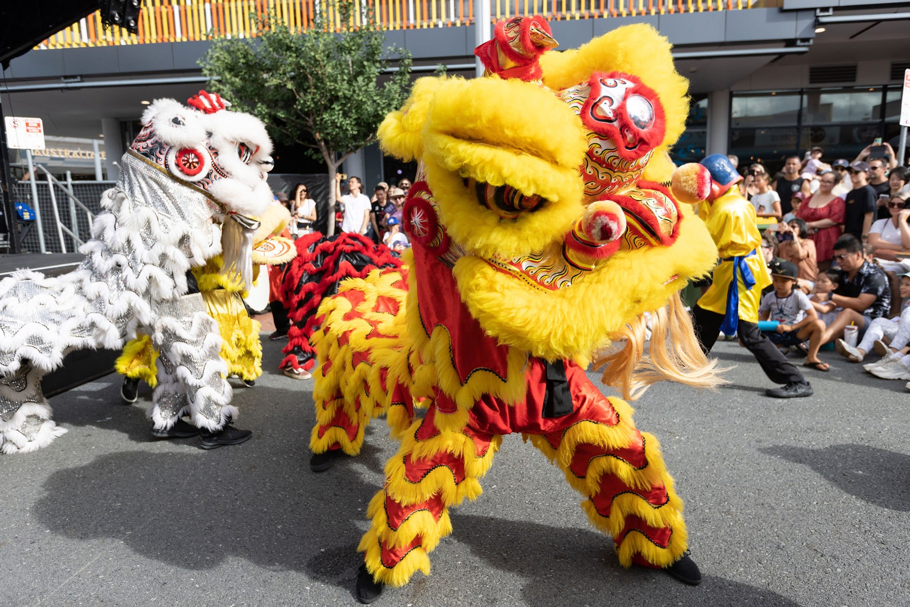 Gallop into the Year of the Horse with these Lunar New Year events on ...