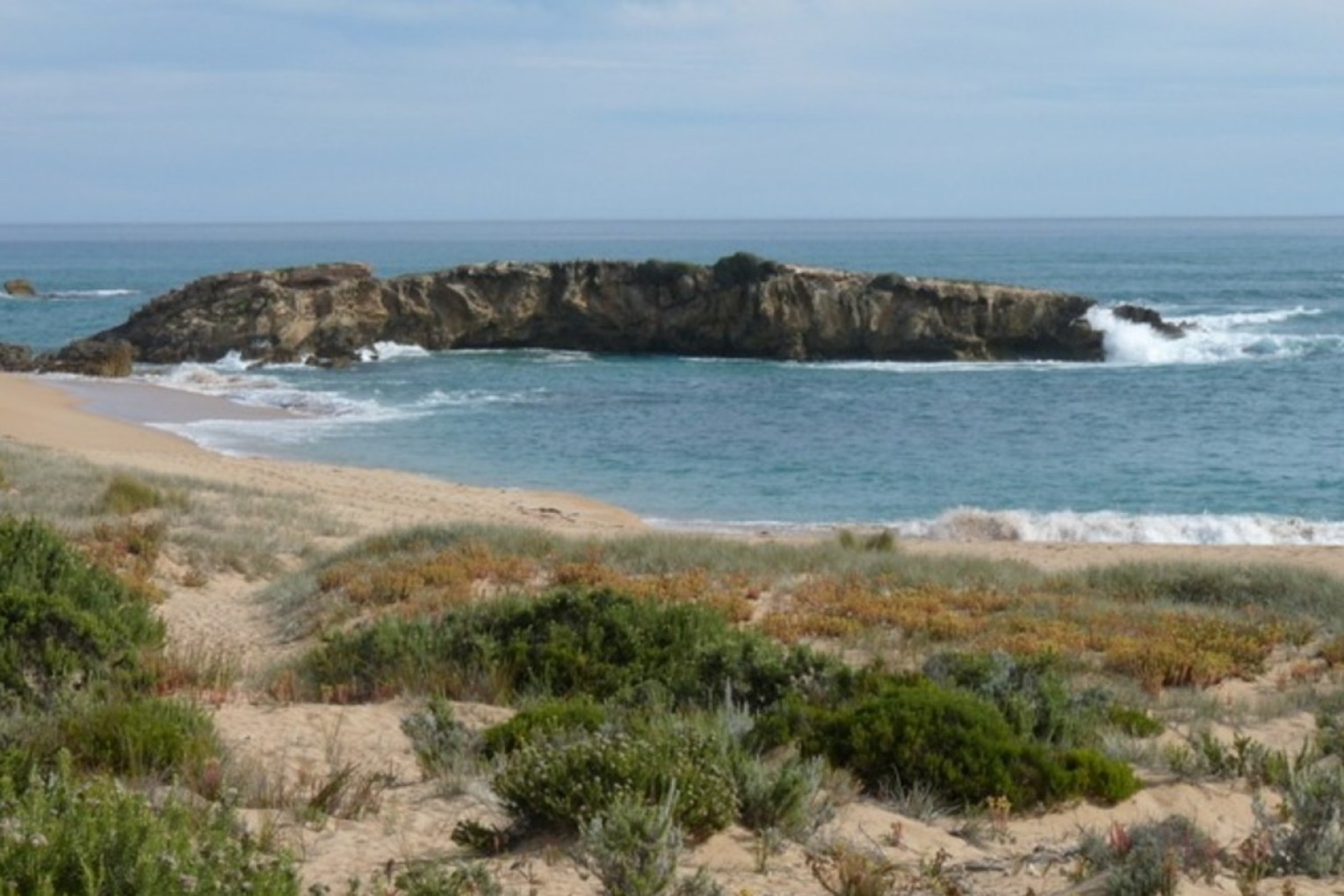 The shoreline in Beachport. File photo: Wikimedia Commons