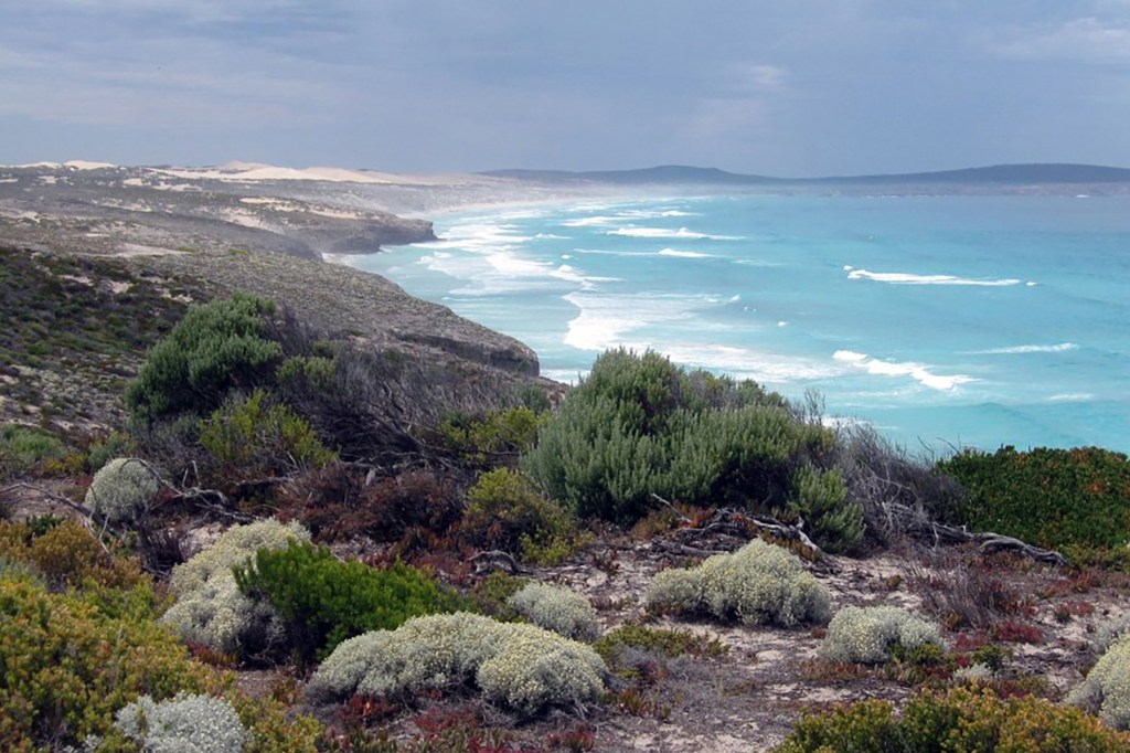 Thumbnail for Search for surfer at scene of fatal 2023 shark attack