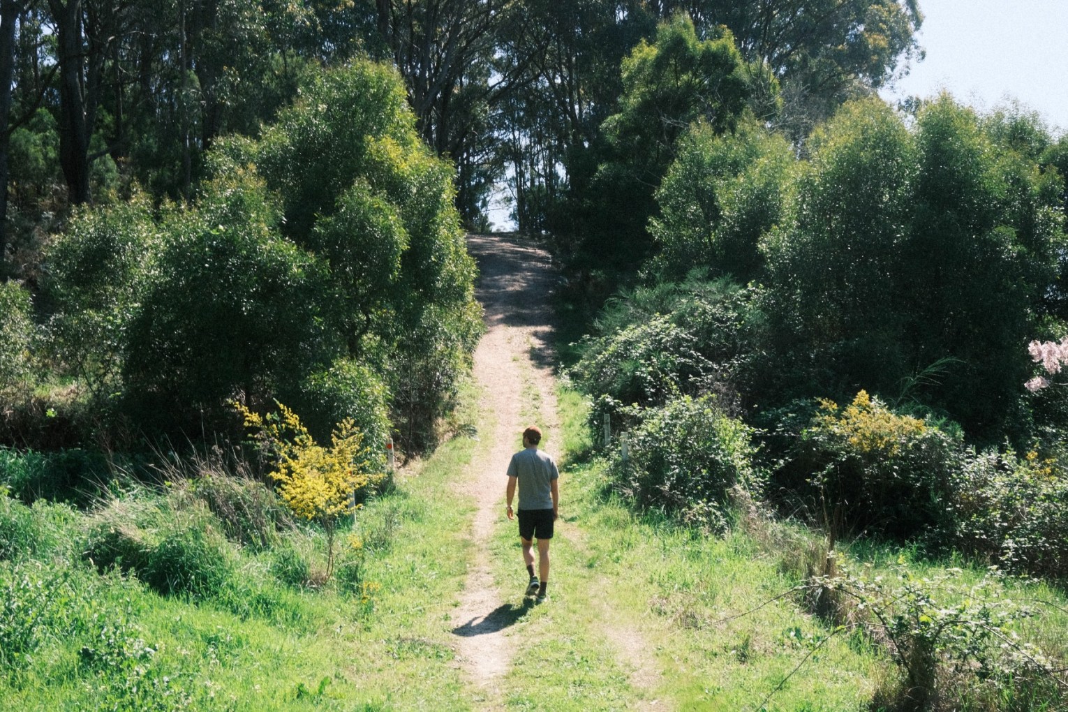 A walk in the Hills is a perfect anecdote for writer's block. Photo: Marina Deller