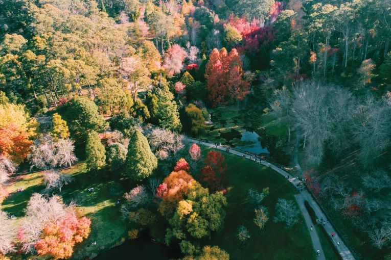 Thumbnail for The best walks in the Adelaide Hills