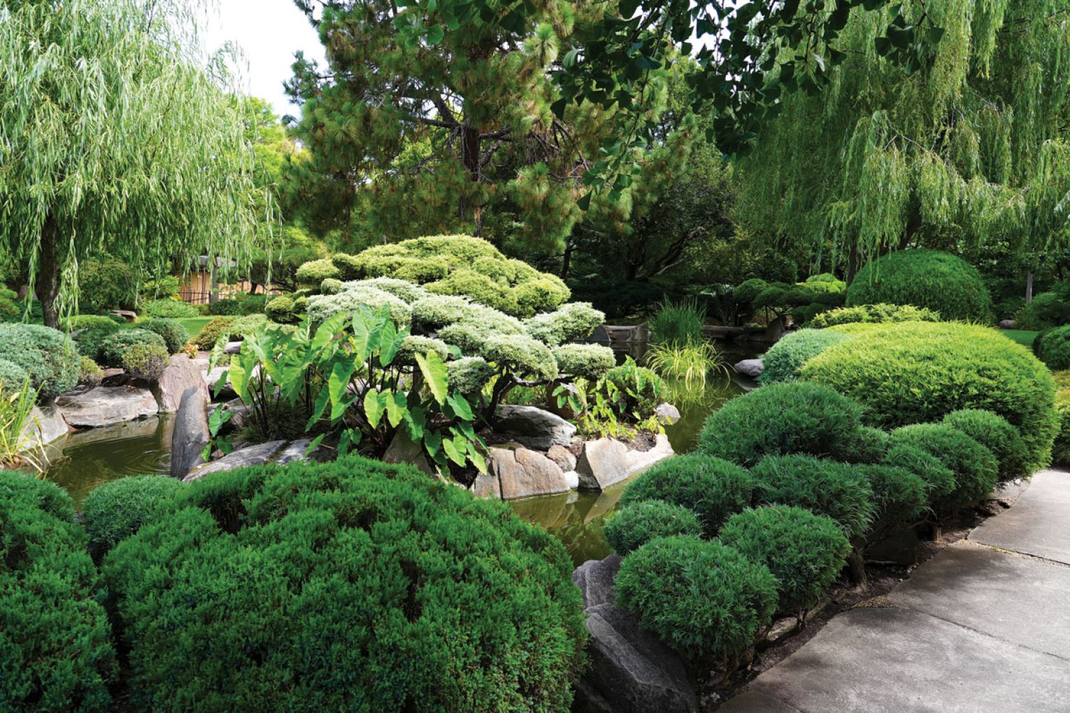 Adelaide Himeji Garden is among a number of public spaces across Adelaide that provides immersive and peaceful green experiences.