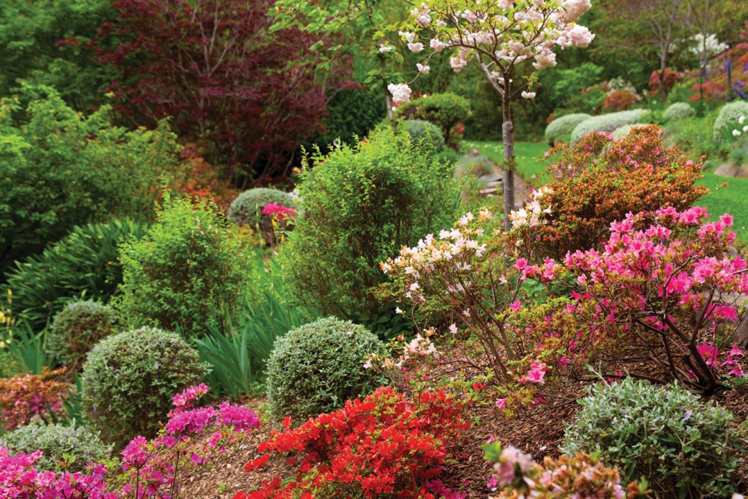  Since purchasing Panmure in 1999, the current owners have tastefully added their own touches to this historic garden.