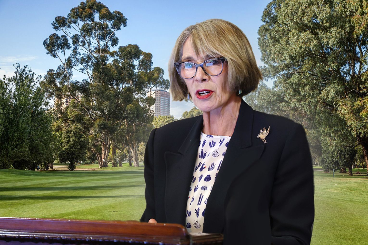 Photo: Tony Lewis/InDaily, Adelaide City Council. Graphic: James Taylor/InDaily