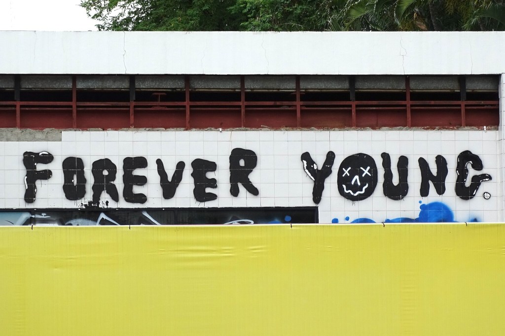 Thumbnail for Poem: Forever Young
