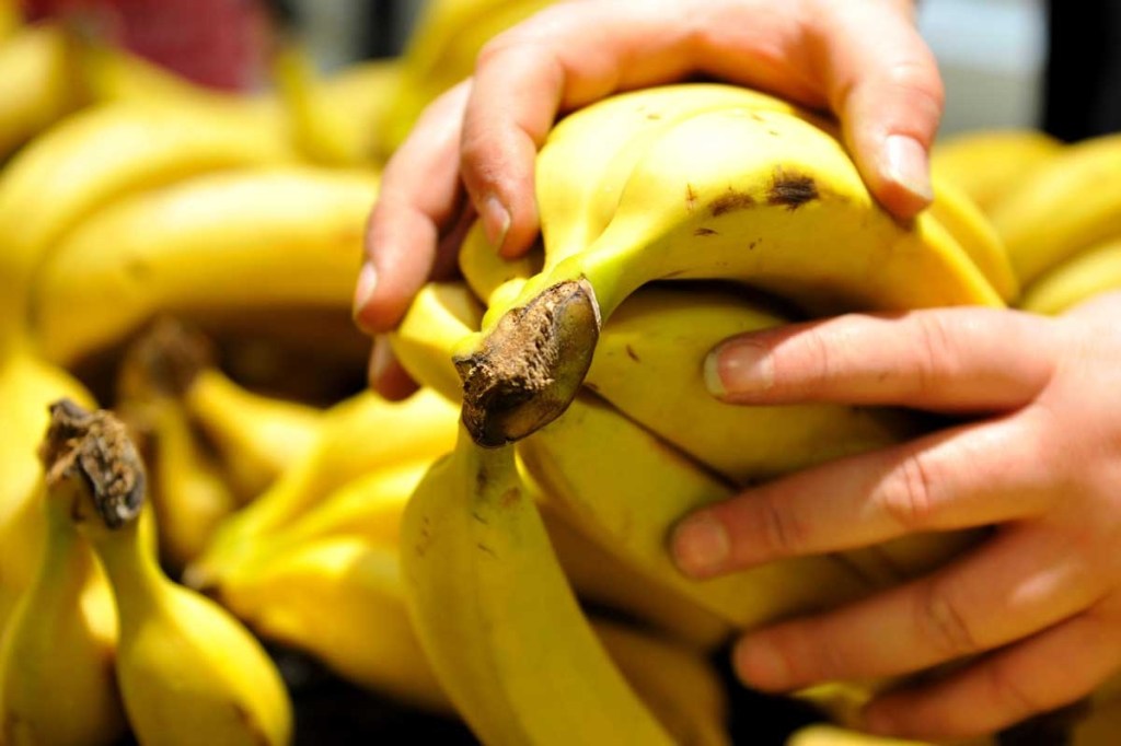 The Queensland flood disaster has put a ding in the nation's economy, and forced up banana prices.