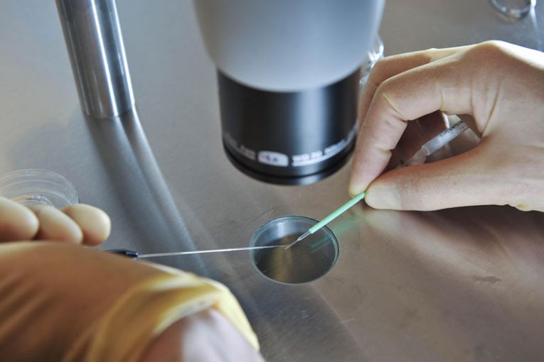 Thumbnail for Hackers access IVF patients’ personal data