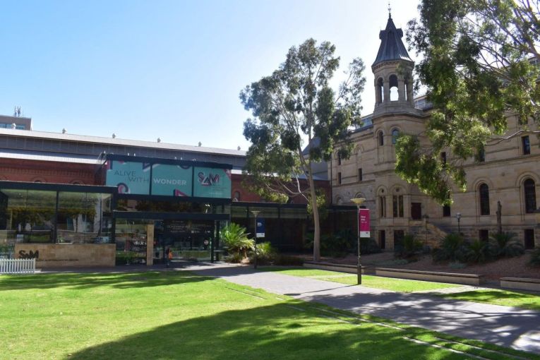 Thumbnail for Tim Flannery warns SA Museum restructure could ‘destroy’ the institution