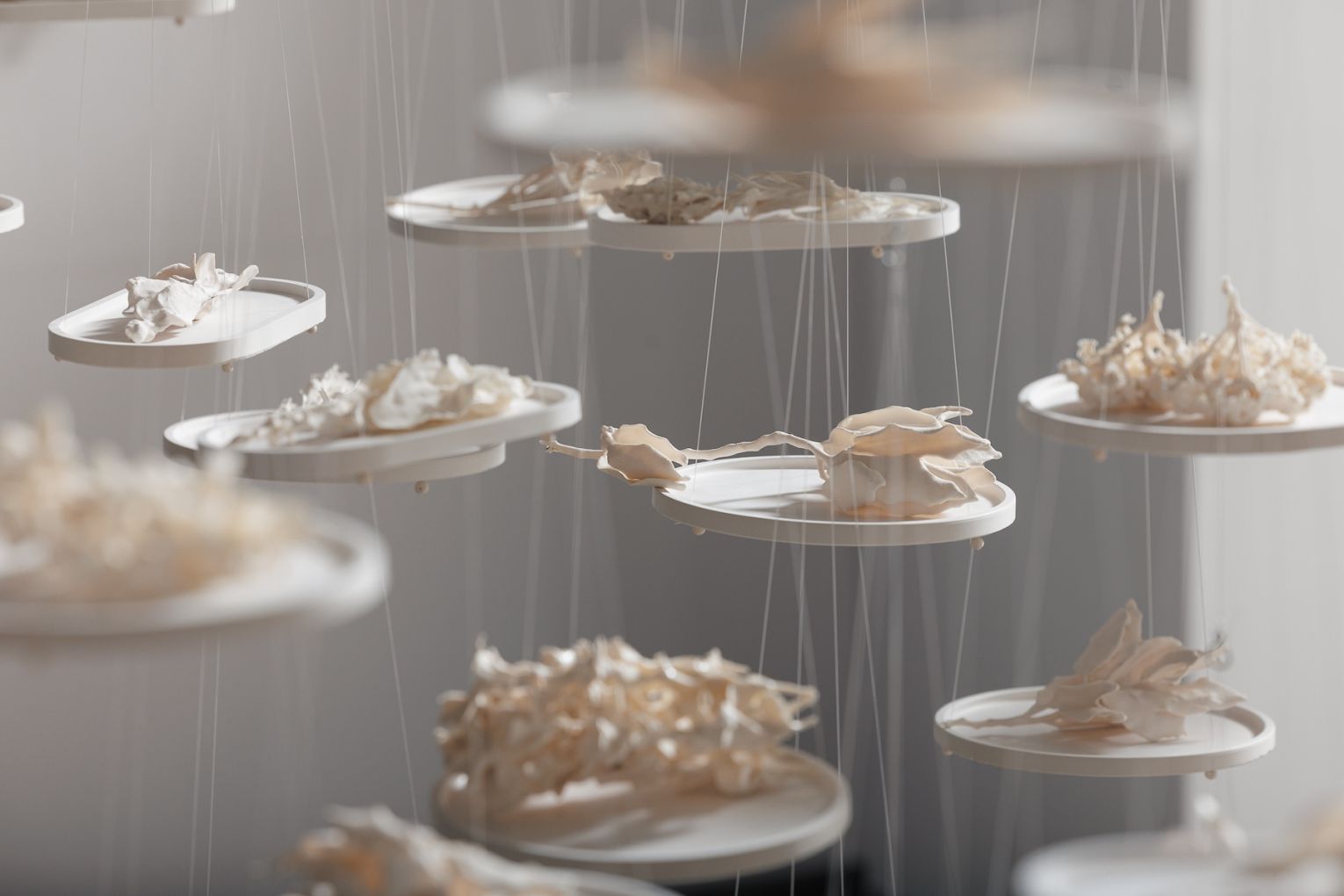 Tieyuan Zhou, Echoes of Fragments. Photo: James Field / Supplied