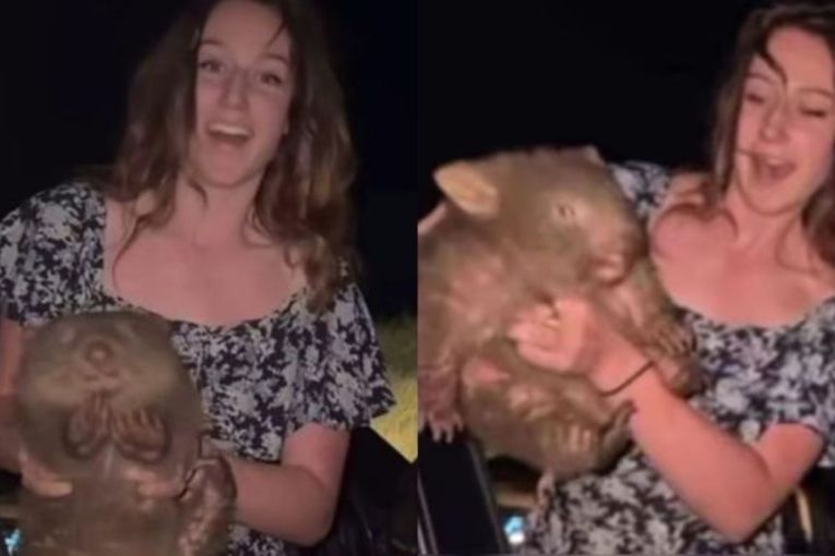 Thumbnail for Under-fire influencer hits back in wombat fracas