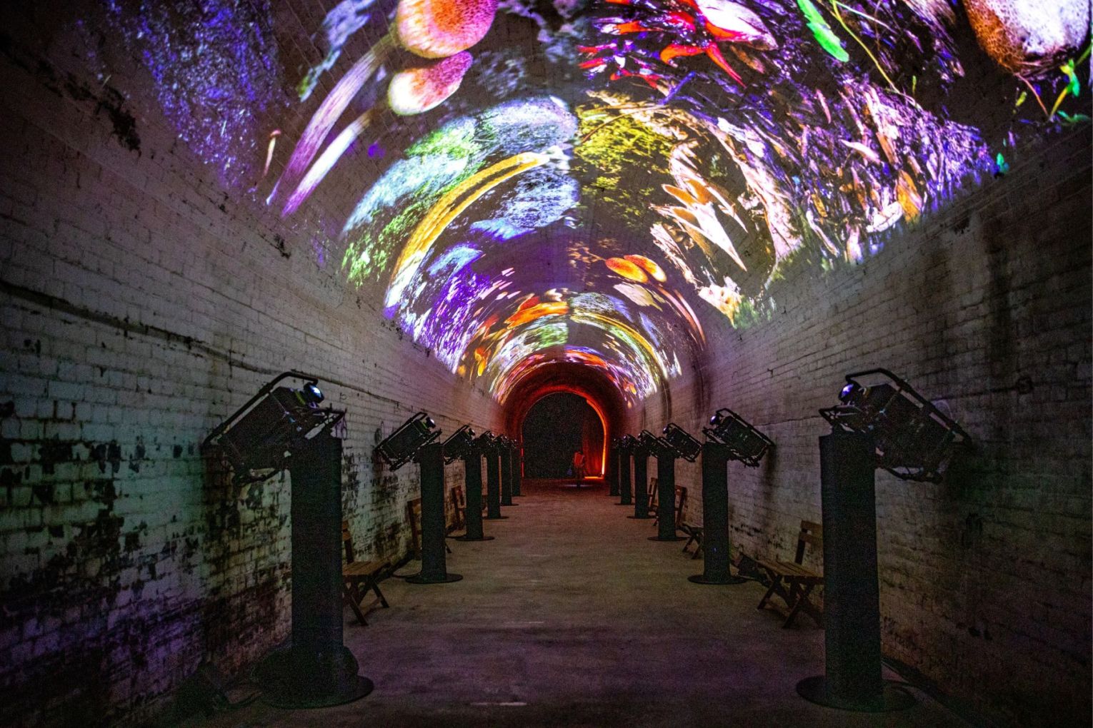 Sleeps Hill Tunnel is one of many immersive experiences you can have this festival season. This picture: supplied. 