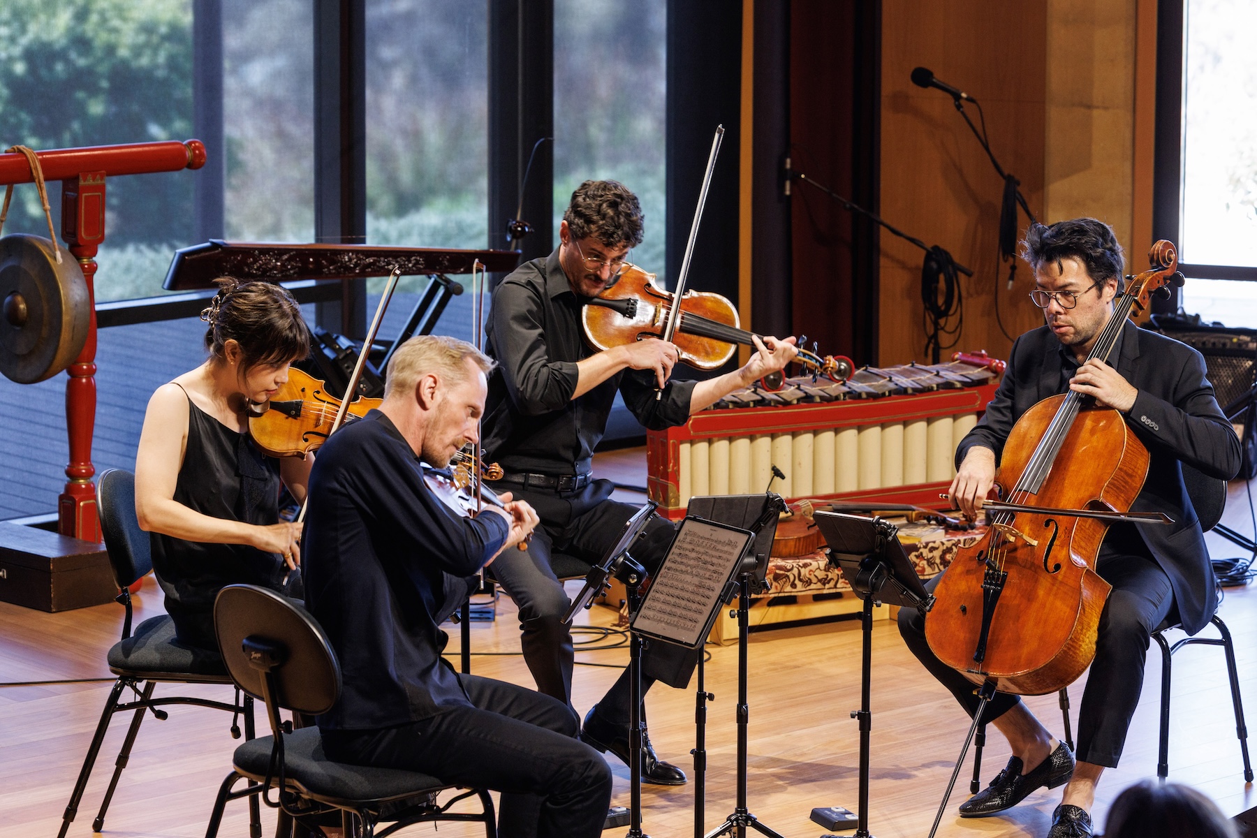 Australian String Quartet perform at Ukaria as part of Chamber Landscapes. Photo: Tony Lewis