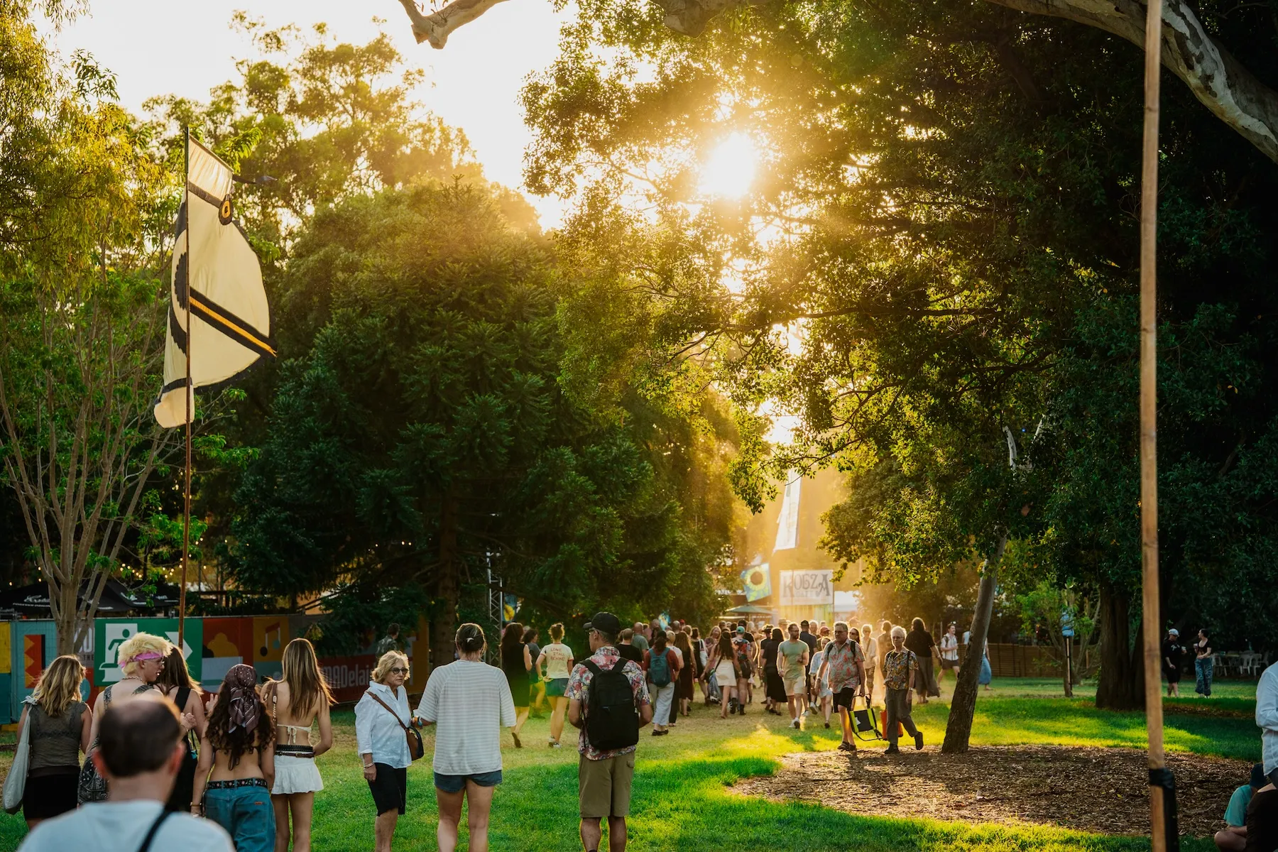 WOMADelaide 2025 in Botanic Park. Photo: Saige Prime / Supplied