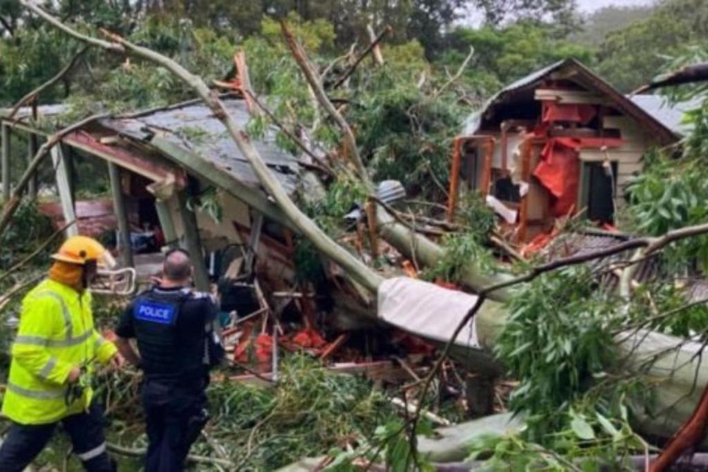 Thumbnail for Alfred 'packs a punch' as it arrives in SEQ, NSW