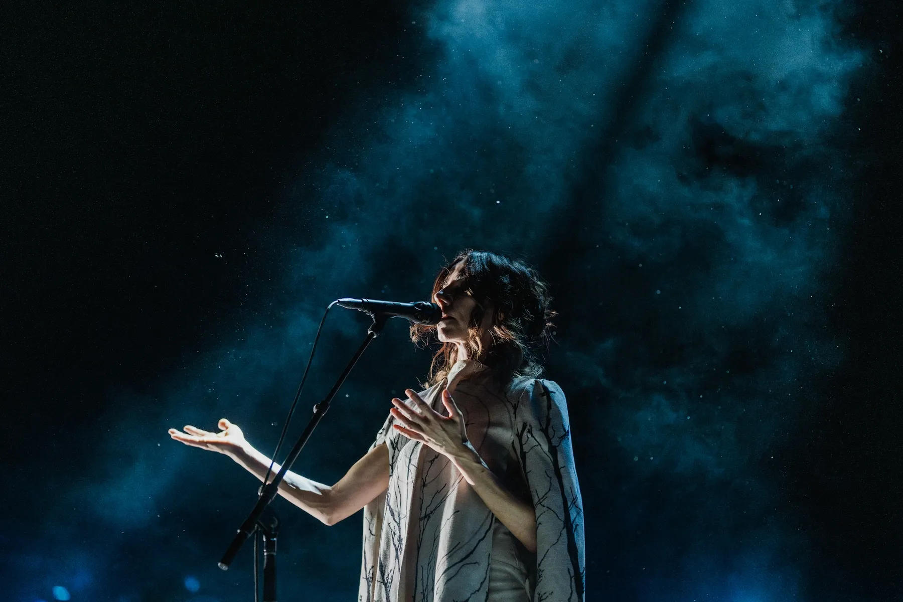 PJ Harvey. Photo: Saige Prime / Supplied