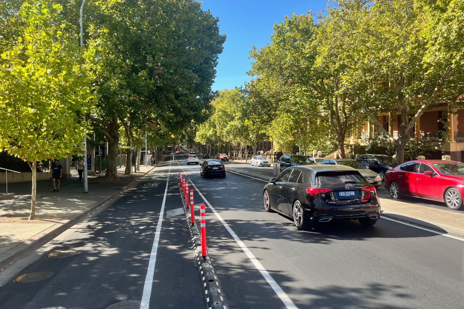 Frome Road is undergoing significant change. Photo: Jim Plouffe/InDaily