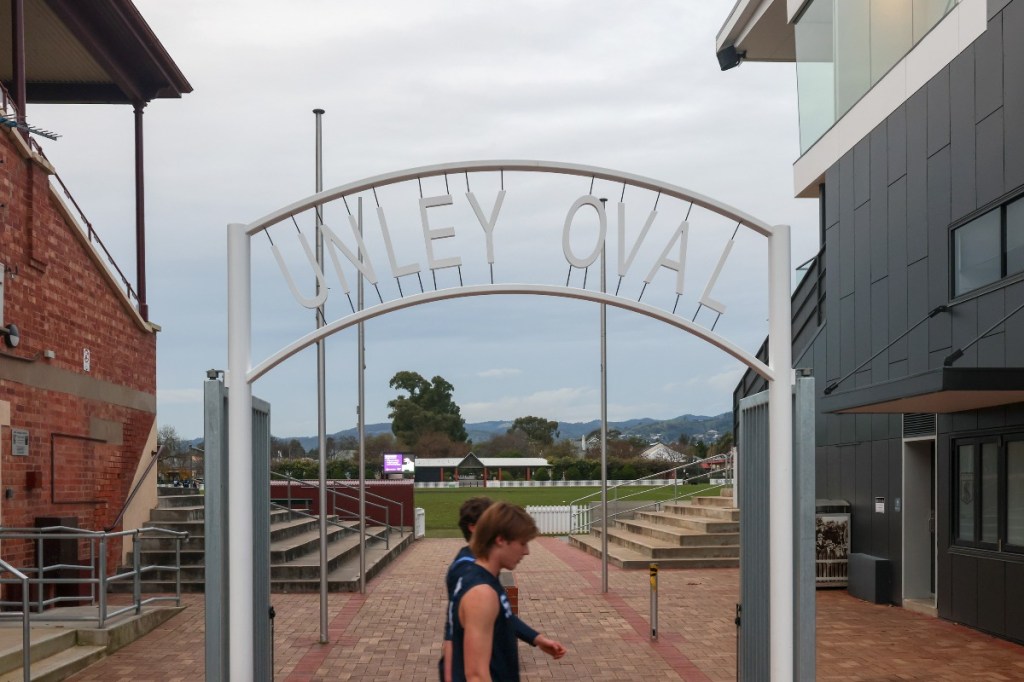 Unley councillors have been presented three options for permanent fencing on the Fredrick Street border of the oval. Photo: Tony Lewis/InDaily.