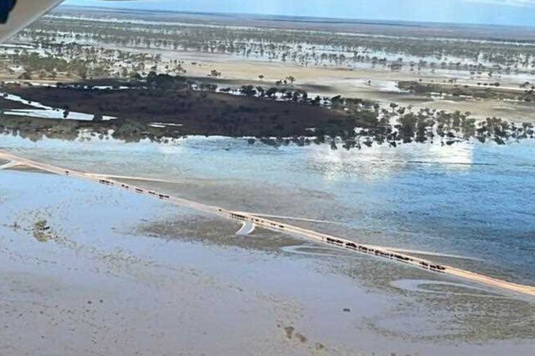 Thumbnail for Levee constructed to protect town as people flee flooding