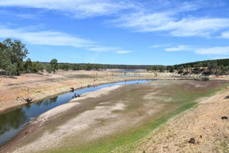 Thumbnail for Millions for farmers after worst harvest in 15 years
