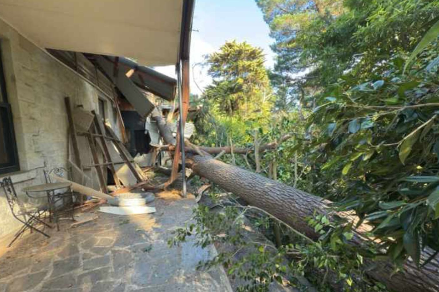 A tree fall in the SES response area of Southern Adelaide. Photo: SA State Emergency Service