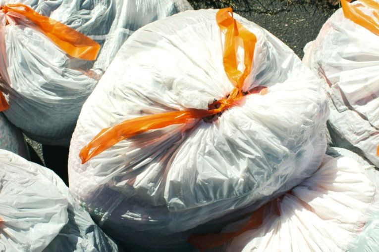 Thumbnail for Garbage bag giant fined over sea plastic claim