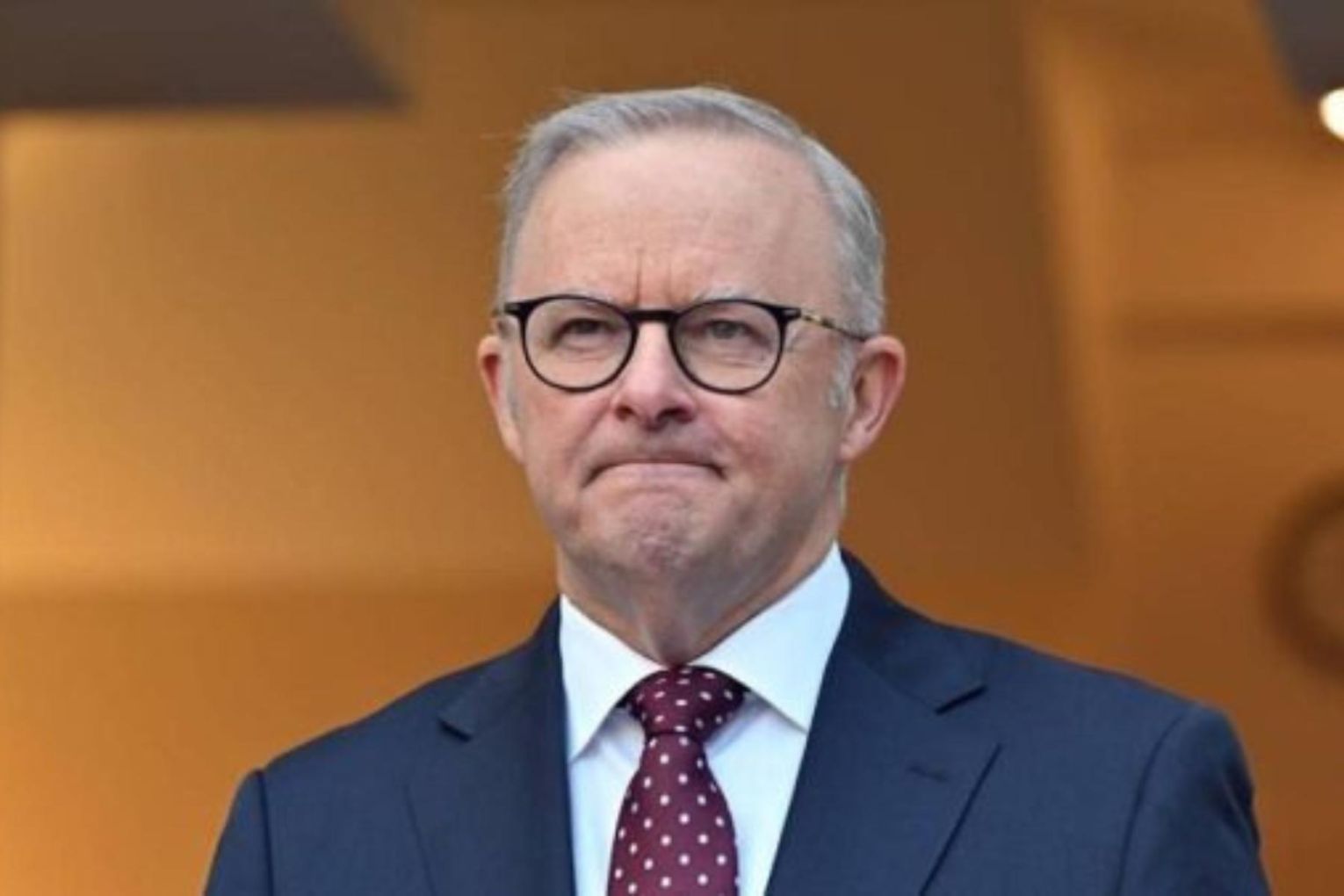 Anthony Albanese wants the Labor party to work in solidarity. Image: AAP