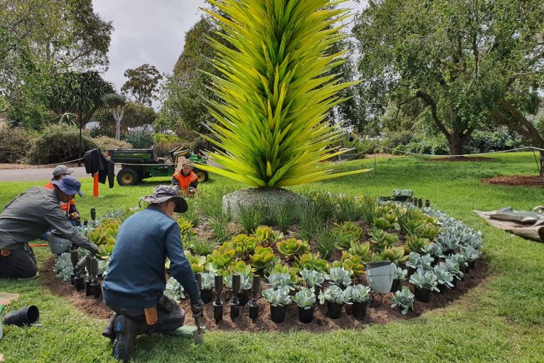 Thumbnail for Cultivating the Botanic Garden for Chihuly