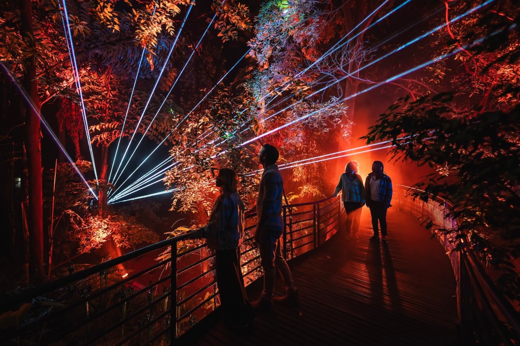 Thumbnail for ‘A huge canvas’: Illuminate Adelaide takes to the sky for fifth year
