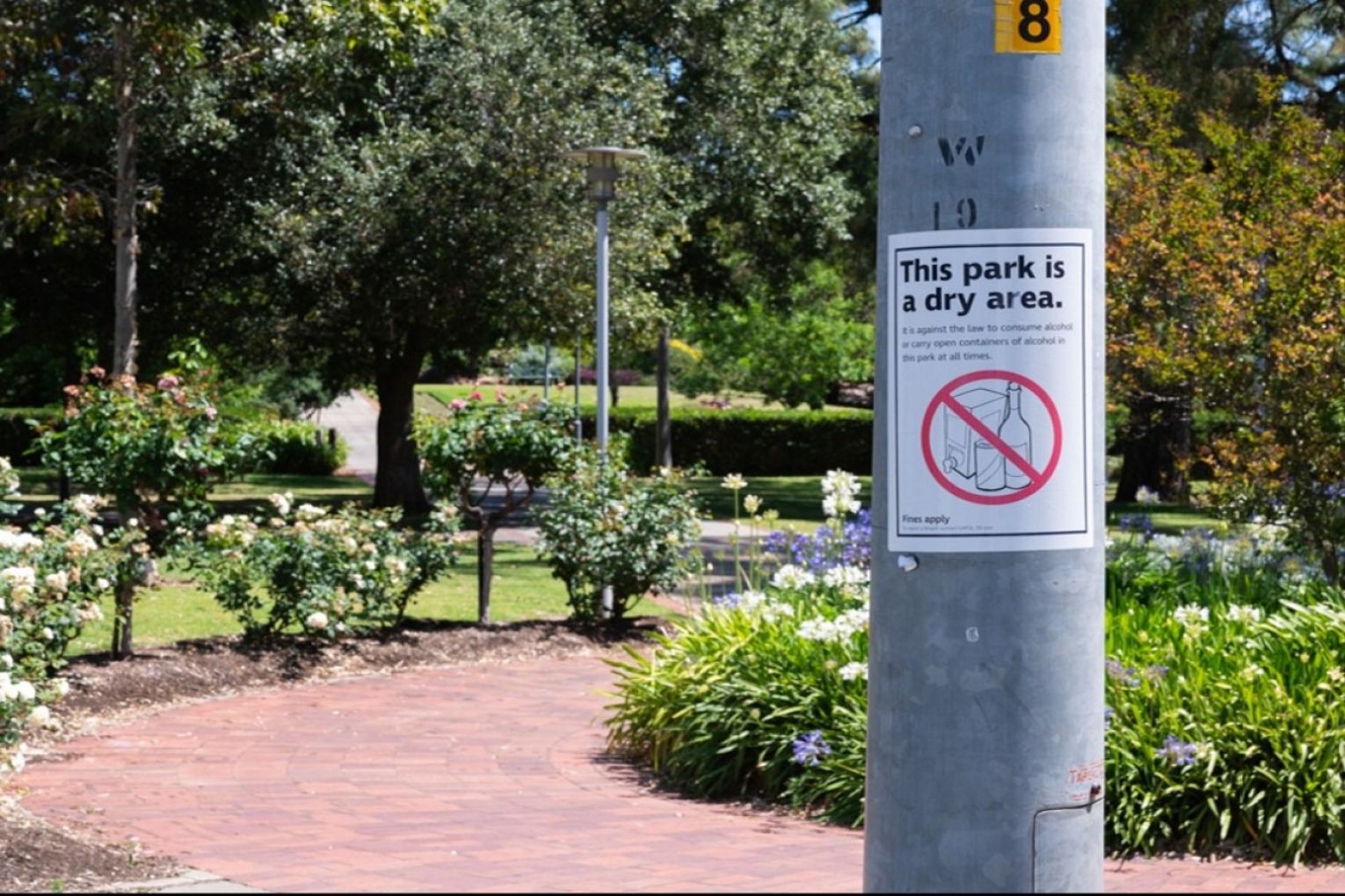 Veale Gardens, Park 21 is a permanent dry zone, but a council report recommends it only be dry between 8pm and 11am. Photo: Liam Jenkins/InDaily