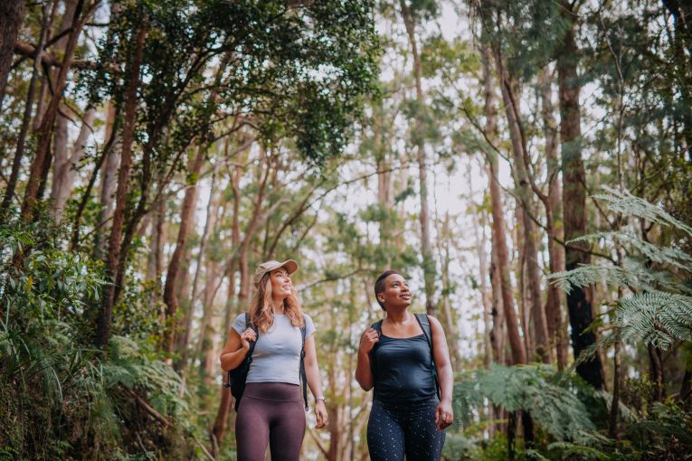 Thumbnail for Nature Meets Adventure: The Gold Coast’s Vision for Eco-Tourism Growth