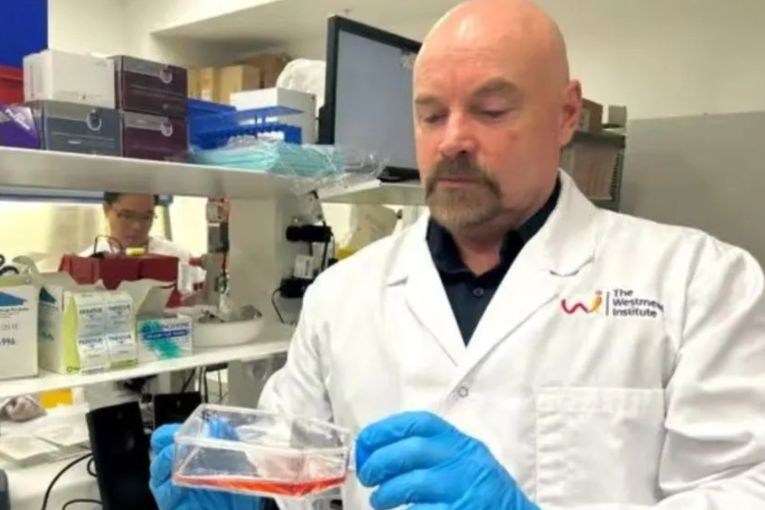 Thumbnail for 'Cure diabetes': Australia on brink of breakthrough