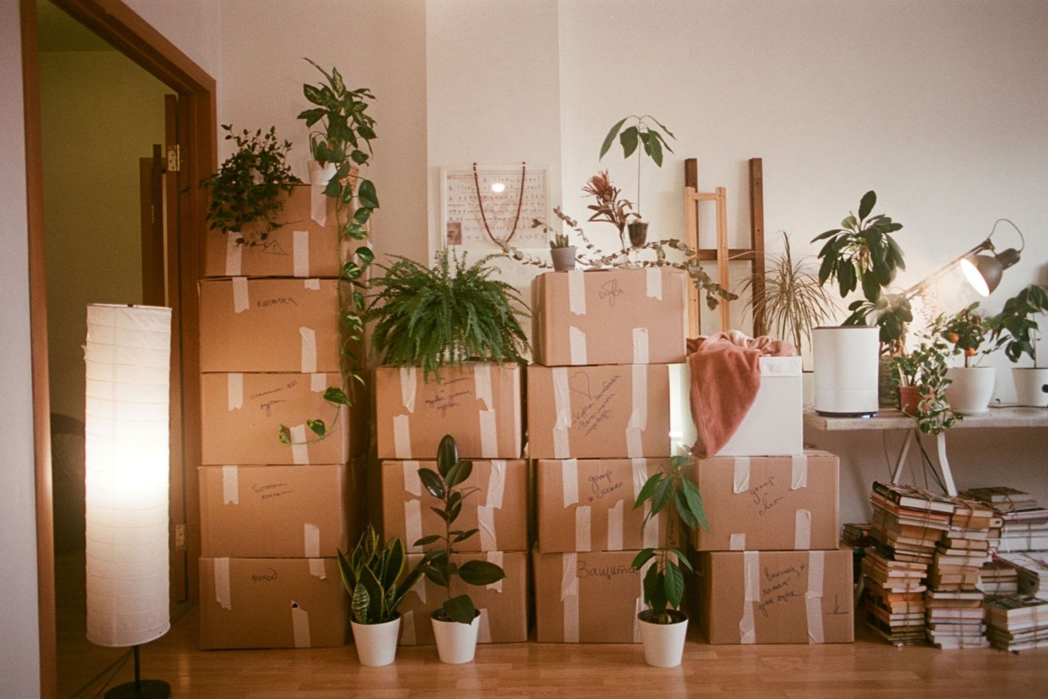 Photo: Unsplash