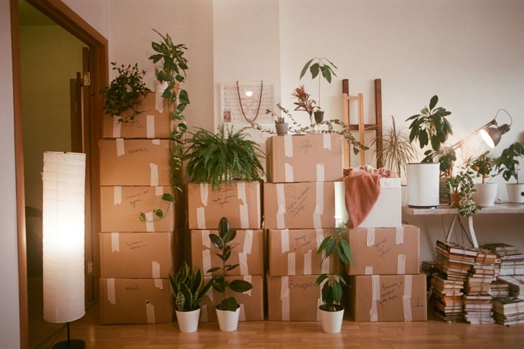 Thumbnail for Downsizing? Why reality differs from narrative