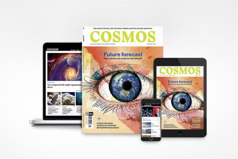 Thumbnail for SA’s only science publisher at risk of shutting doors