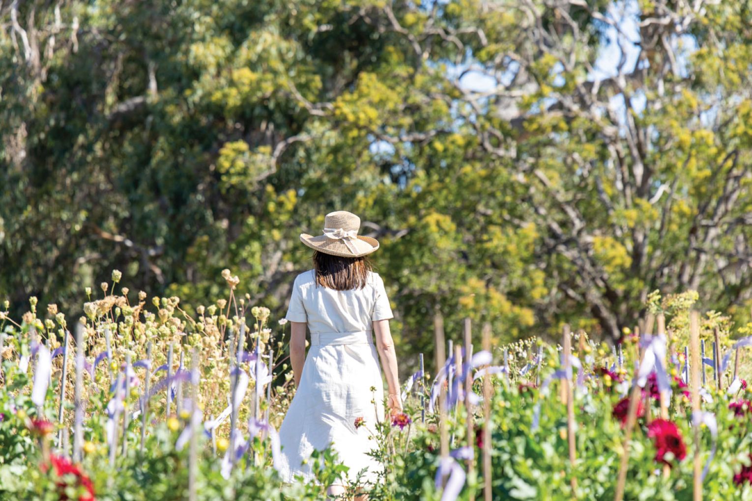 It’s hard to believe this flourishing, flower-filled patch in Wangolina in the state's South East was once a dusty bull paddock.