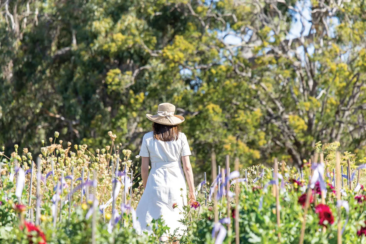 It’s hard to believe this flourishing, flower-filled patch in Wangolina in the state's South East was once a dusty bull paddock.