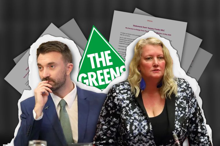 Thumbnail for Tammy Franks ‘engaged in misconduct’, claims Greens SA