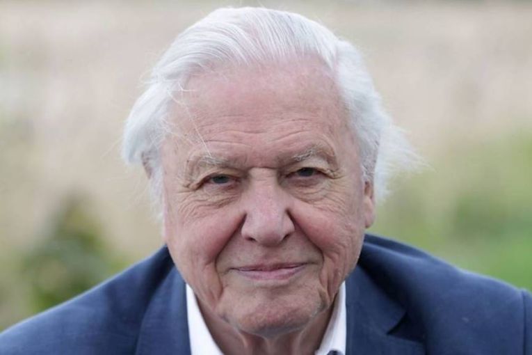 Thumbnail for Attenborough enters 100th year with plea for world’s future