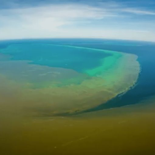 Thumbnail for Warning as Great Barrier Reef avoids ‘in danger’ listing