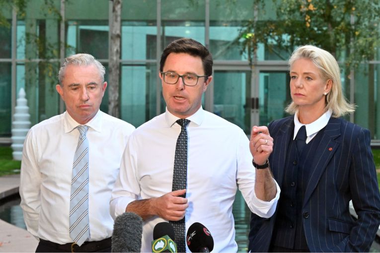 Thumbnail for Nationals pull plug on coalition agreement with Liberals