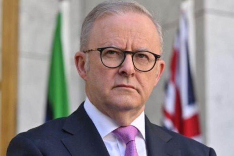 Thumbnail for Albanese’s agenda ahead of potential Trump talks