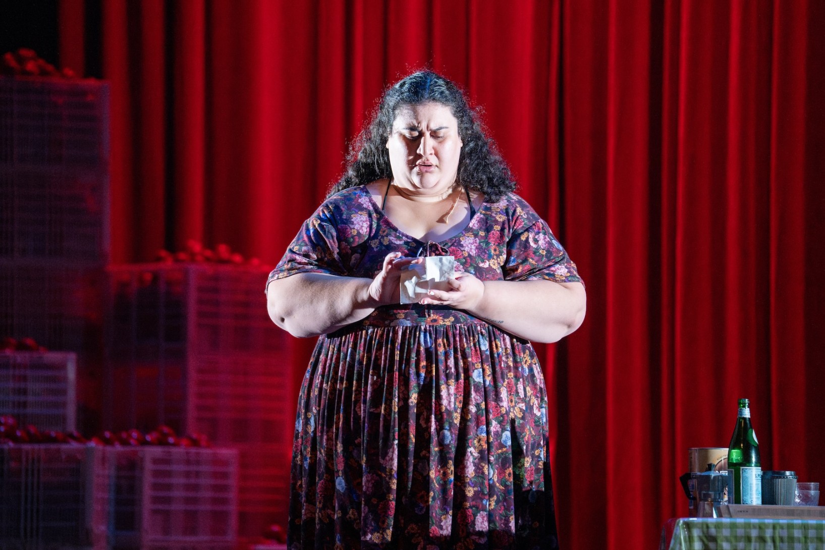 Chanella Macri stars as Melina Marchetta's Josie Alibrandi. Photo: Matt Byrne / Supplied